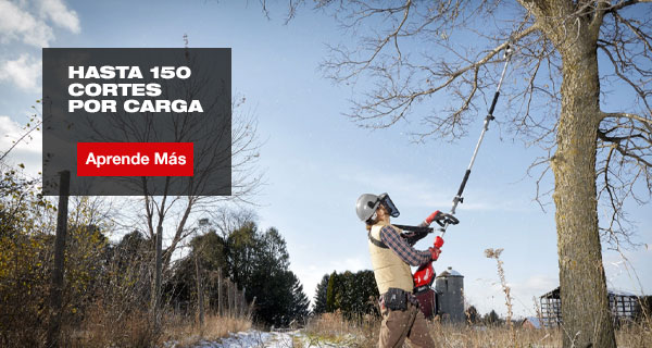Imagen de la diapositiva