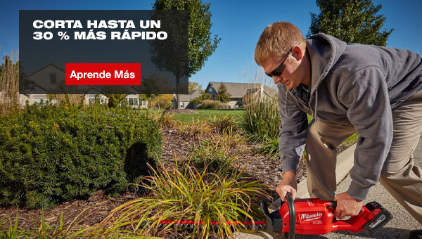 Imagen de la diapositiva