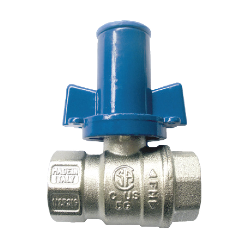VALVULA ANTIFRAUDE 1/2" NPT