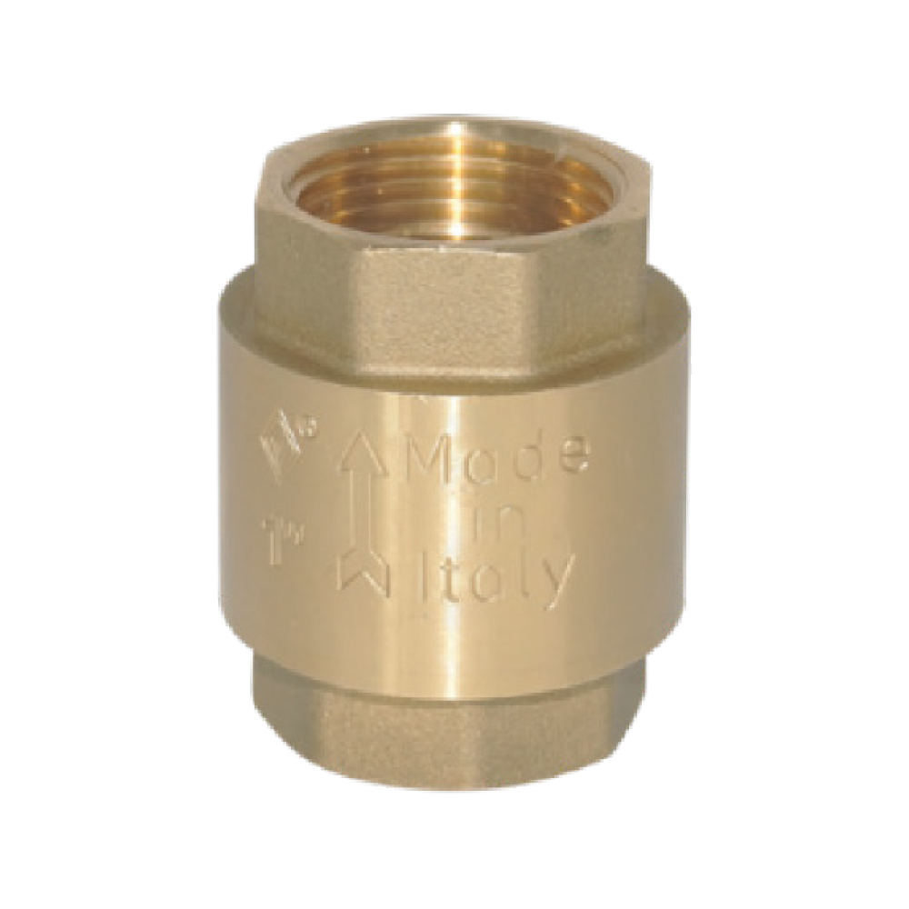 CHEQUE LATON RESORTE ACERO INOXIDABLE BUGATTI NPT 100PSI 1" (TTBU025) BUGATTI