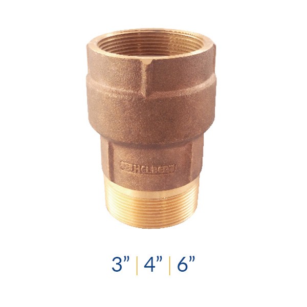 [HFVP100] VÁLVULA CHEQUE POZO PROFUNDO 4"  300PSI HELBERT