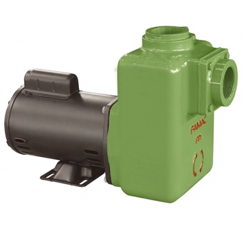 BOMBA FBZ20 3HP 110MM 1F 127/220V IP21 